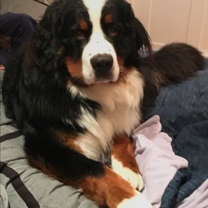 Meet your Posher, Hailey